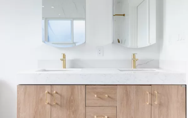 115 Eastwood Dr - modern bathroom remodel with new vanity