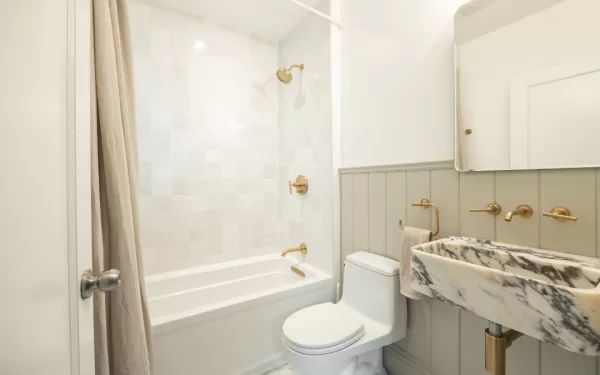 29th St - bathroom renovation with new toilet and shower