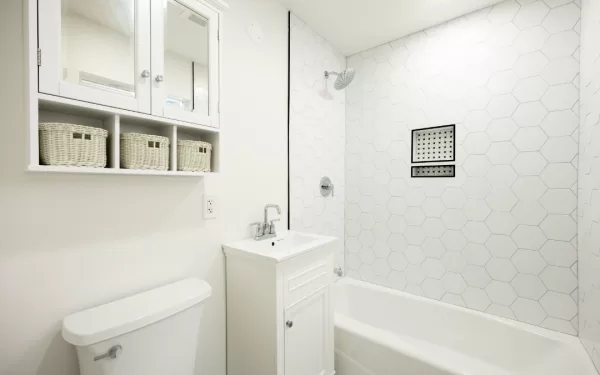 Lily - bathroom renovation with new shower and sink