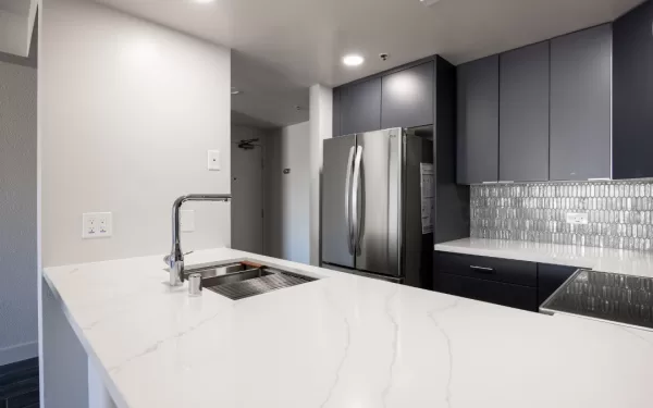 Van Ness - modern kitchen remodel with new sink and countertops